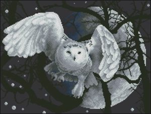 White Owl White Owl