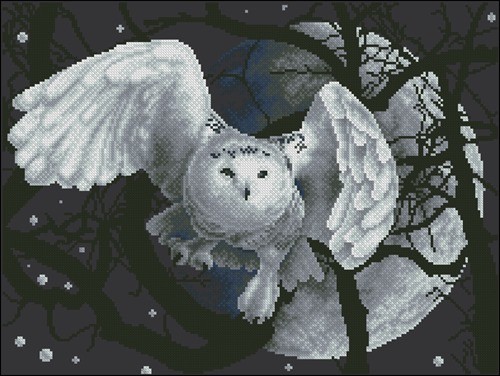 White Owl