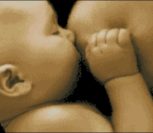Минуты нежности Минуты нежности