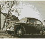 Жук, старая фотография Жук, старая фотография