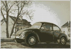 Жук, старая фотография Жук, старая фотография