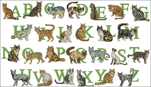 Cat Alphabet