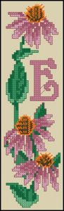 Bookmark - Echinacea Bookmark - Echinacea