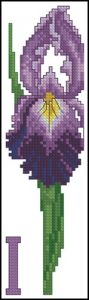 Iris Bookmark Iris Bookmark