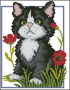 Черный котенок