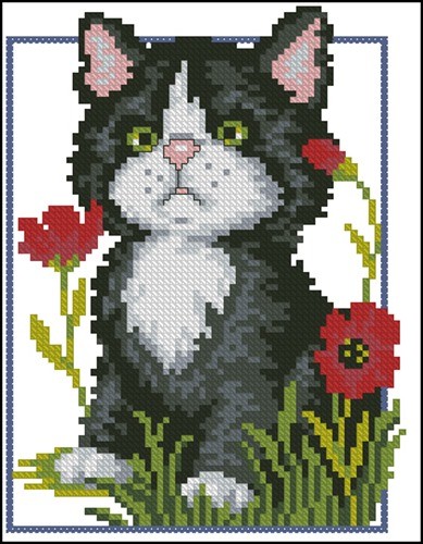 Black Kitten with Poppies