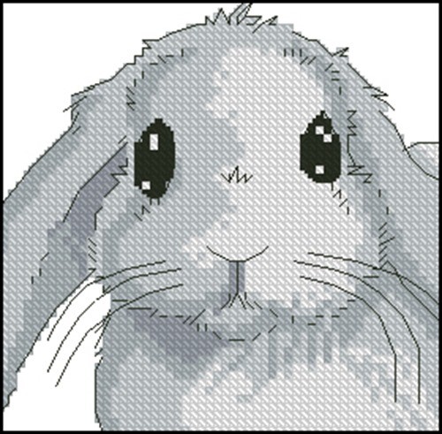 Gray Lop-Eared Bunny