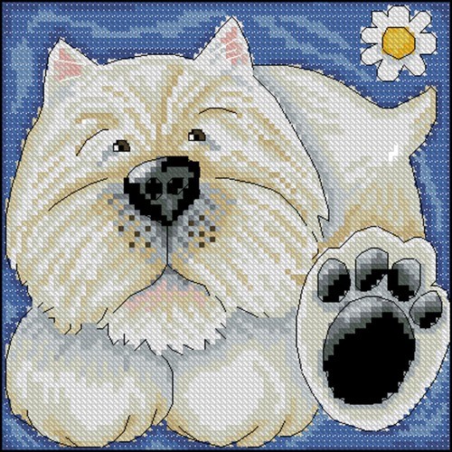 West Highland Terrier with Daisy