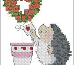 Hedgehog Hedgehog