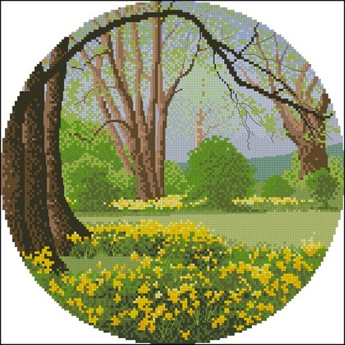 Daffodil Wood