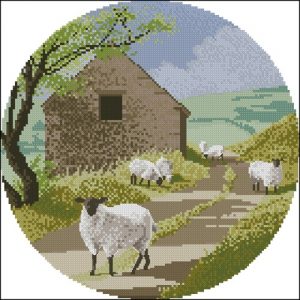 Sheep track