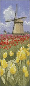 Tulip Fields