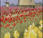Tulip Fields Tulip Fields