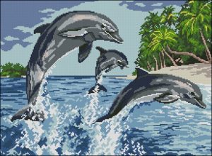Dolphins Dolphins