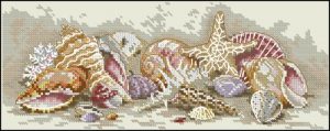 Seashell Treasures Seashell Treasures