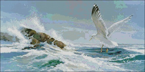 Gull Above the Surf