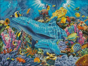 Dolphines of the ocean Dolphines of the ocean
