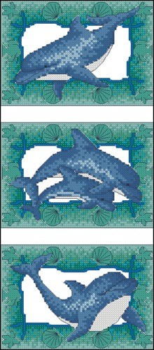 Dolphin