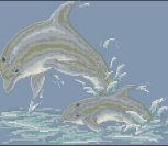 Graceful dolphins Graceful dolphins