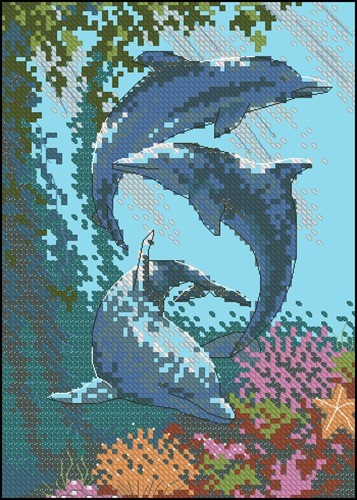 Dolphin Trio