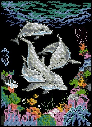 Dolphin playtime