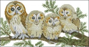 The Owl Family The Owl Family