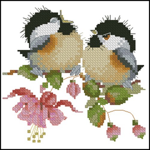 Fuchsia Chick-Chat