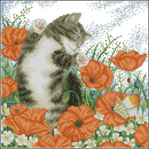 Котёнок в маках Котёнок в маках
