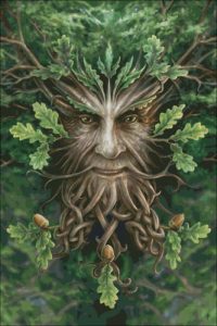 Oak King Oak King