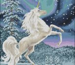 Northern lights Northern lights
