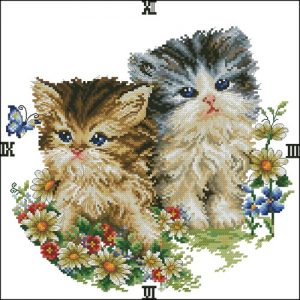Romantic cat Romantic cat