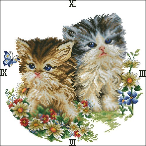 Romantic cat
