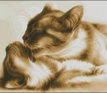 Кошачьи нежности Кошачьи нежности