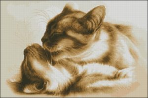 Кошачьи нежности Кошачьи нежности