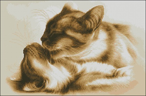 Кошачьи нежности