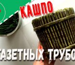 ВИДЕО: Кашпо из газетных трубочек своими руками Мастер-класс ВИДЕО: Кашпо из газетных трубочек своими руками Мастер-класс
