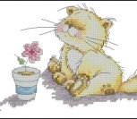 Solo and Flower Solo and Flower