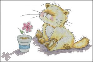 Solo and Flower