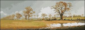 Winter Field