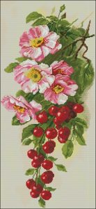 Ripe Cherry Ripe Cherry