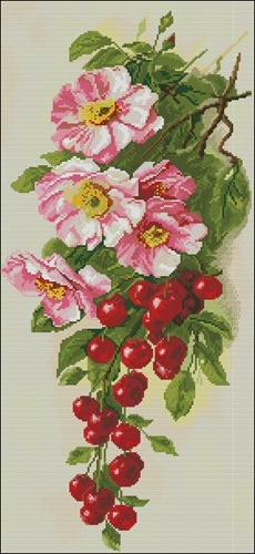 Ripe Cherry