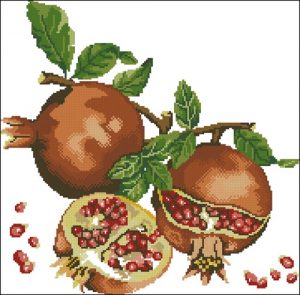 Pomegranate Fruit Pomegranate Fruit