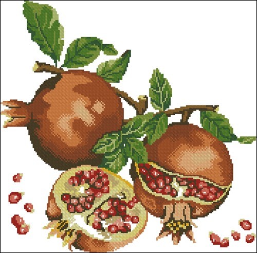 Pomegranate Fruit