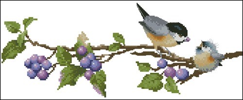 Berry Time