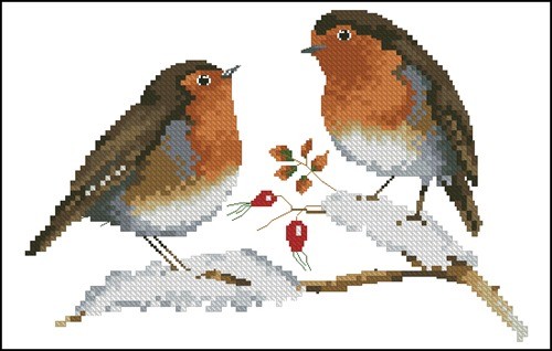 Winter Robins