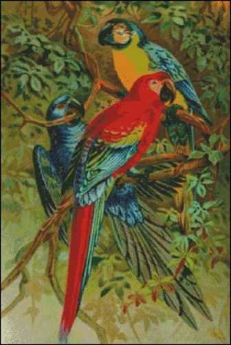 Parrot Bay