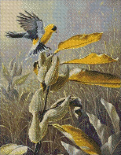 Meadow Gold