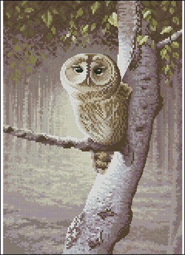 Night Watchman