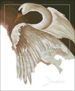 Swan in flight