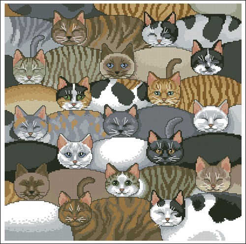 Kitty Kitty Pillow
